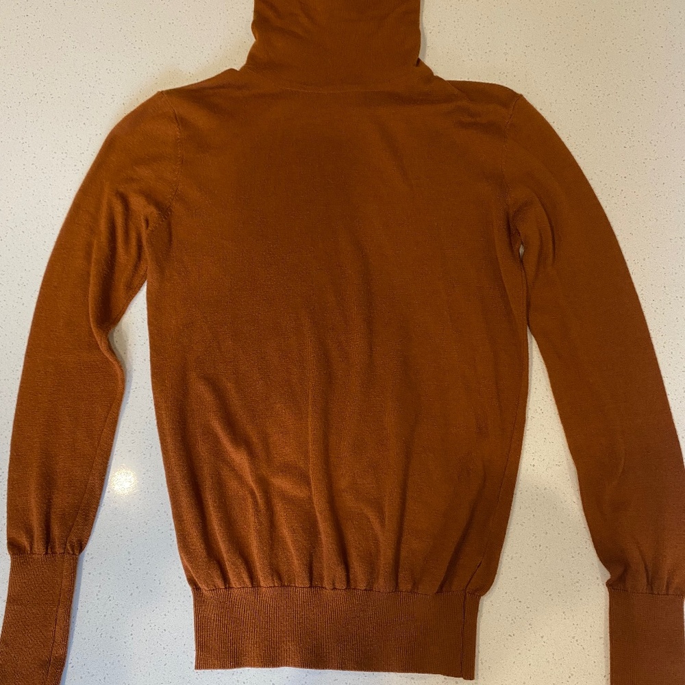 Zara turtleneck sweater